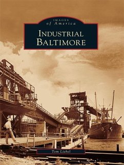 Industrial Baltimore (eBook, ePUB) - Liebel, Tom