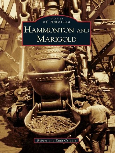 Hammonton and Marigold (eBook, ePUB)