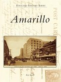 Amarillo (eBook, ePUB)