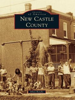Cover New Castle County (eBook, ePUB)