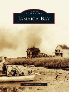 Jamaica Bay (eBook, ePUB) - Hendrick, Daniel M.