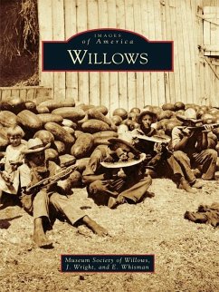 Willows (eBook, ePUB) - Wright, J.