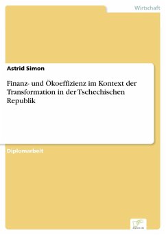 Finanz- und Ökoeffizienz im Kontext der Transformation in der Tschechischen Republik (eBook, PDF) - Simon, Astrid