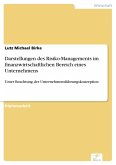 Darstellungen des Risiko-Managements im finanzwirtschaftlichen Bereich eines Unternehmens (eBook, PDF)