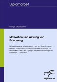 Motivation und Wirkung von E-Learning (eBook, PDF)