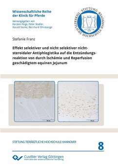 Effekt selektiver und nicht selektiver nichtsteroidaler Antiphlogistika auf die Entzündungsreaktion von durch Ischämie und Reperfusion geschädigtem equinen Jejunum (Band 8) - Franz, Stefanie