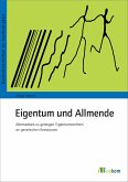 Eigentum und Allmende (eBook, PDF)