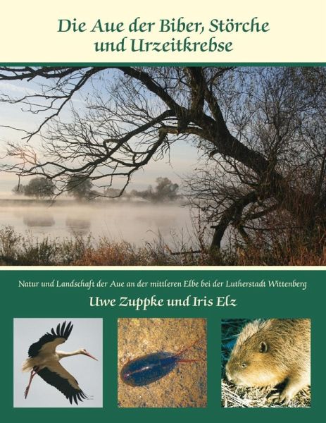 Die Aue der Biber, Störche und Urzeitkrebse (eBook, ePUB) Die Aue der Biber, Störche und Urzeitkrebse (eBook, ePUB)