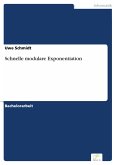 Schnelle modulare Exponentiation (eBook, PDF)