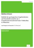 Einfluß der geologischen Gegebenheiten auf Druckluftvortriebe im 2. Grundwasserstockwerk beim U-Bahn-Bau in München (eBook, PDF)