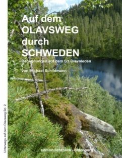 Auf dem Olavsweg durch Schweden - Schildmann, Michael