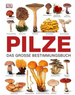 Pilze