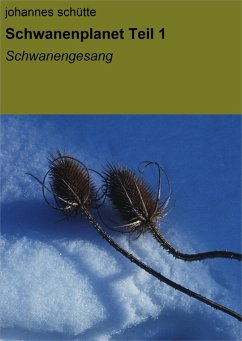 Schwanenplanet (eBook, ePUB) - Schütte, Johannes