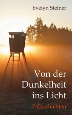 Von der Dunkelheit ins Licht (eBook, ePUB) - Steiner, Evelyn