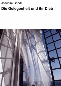 Cover Die Gelegenheit und ihr Dieb (eBook, ePUB)