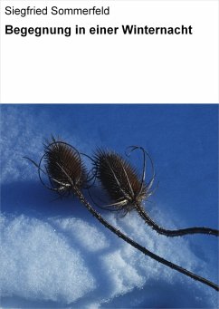 Begegnung in einer Winternacht (eBook, ePUB) - Sommerfeld, Siegfried