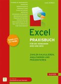 Excel Praxisbuch für die Versionen 2010 und 2013 (eBook, PDF)