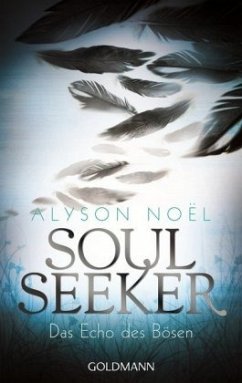 Das Echo des Bösen / Soul Seeker Bd.2 - Noël, Alyson