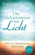 Die Schattenreise ins Licht - Bild 1