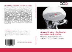 Aprendizaje y plasticidad en redes neuronales