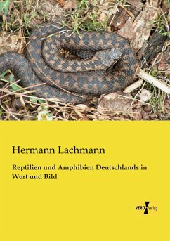 Reptilien und Amphibien Deutschlands in Wort und Bild - Lachmann, Hermann