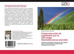 Fotoproducción de pigmentos por la microalga Haematococcus pluvialis - Salazar González, Margarita