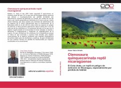 Ctenosaura quinquecarinata reptil nicaragüense - Otero Ortuño, César