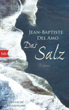 Das Salz - Del Amo, Jean-Baptiste