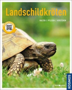 Landschildkröten - Rogner, Manfred
