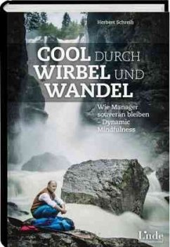Cover Cool durch Wirbel und Wandel