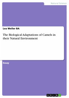 The Biological Adaptations of Camels in their Natural Environment - Weller BA, Lea