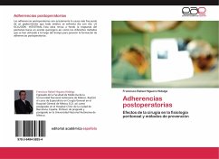 Adherencias postoperatorias