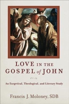 Cover Love in the Gospel of John (eBook, ePUB)