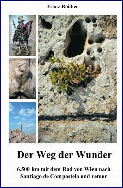 Der Weg der Wunder (eBook, ePUB) - Roither, Franz