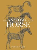 The Anatomy of the Horse (eBook, ePUB)