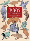 Big Book of Bird Illustrations (eBook, ePUB)