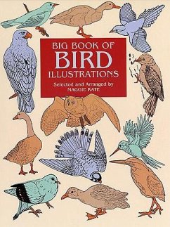 Big Book of Bird Illustrations (eBook, ePUB) - Kate, Maggie
