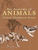 Art Anatomy of Animals (eBook, ePUB)