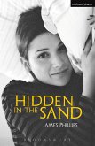 Hidden in the Sand (eBook, PDF)
