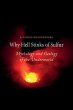 Why Hell Stinks of Sulfur (eBook, ePUB) - Bild 1
