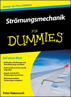 Strömungsmechanik für Dummies - Hakenesch, Peter