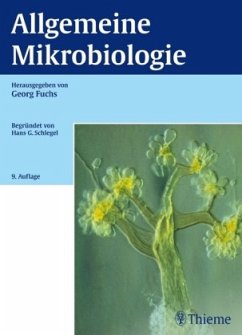 Cover Allgemeine Mikrobiologie