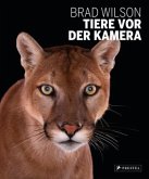 Tiere vor der Kamera