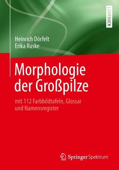 Morphologie der Großpilze - Dörfelt, Heinrich;Ruske, Erika