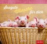 Saugute Wünsche für dich 2015