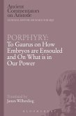 Porphyry Porphyry