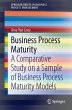 Business Process Maturity - Bild 1
