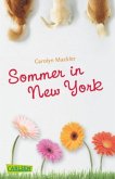 Sommer in New York