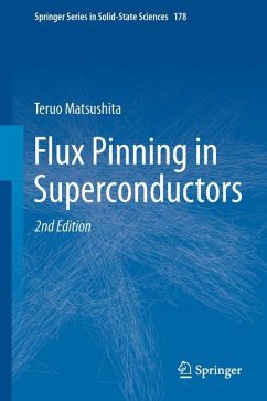 Flux Pinning in Superconductors - Matsushita, Teruo