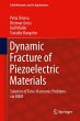 Dynamic Fracture of Piezoelectric... - Bild 1
